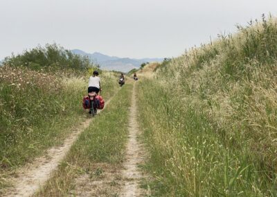 cycliste en voyage dans un champ
