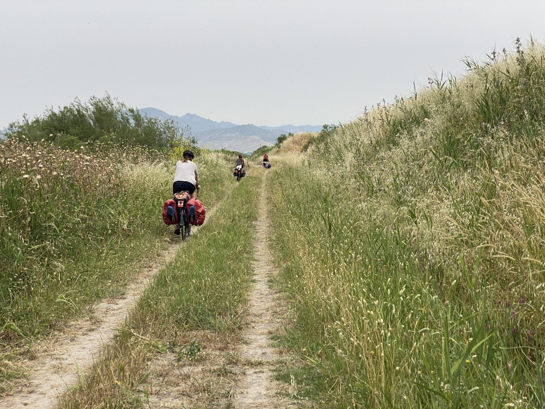 cycliste en voyage dans un champ
