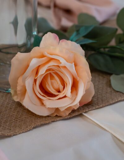 rose rose sur une table